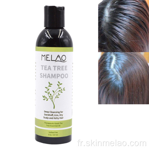 Nettoyage des pellicules à cheveux naturels Shampooing à l&#39;huile d&#39;arbre à thé